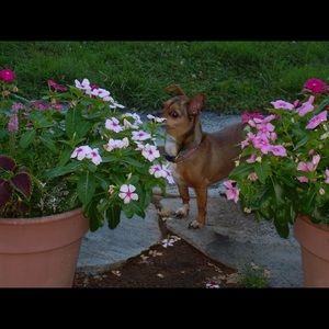 Meet your Posher, Deborah